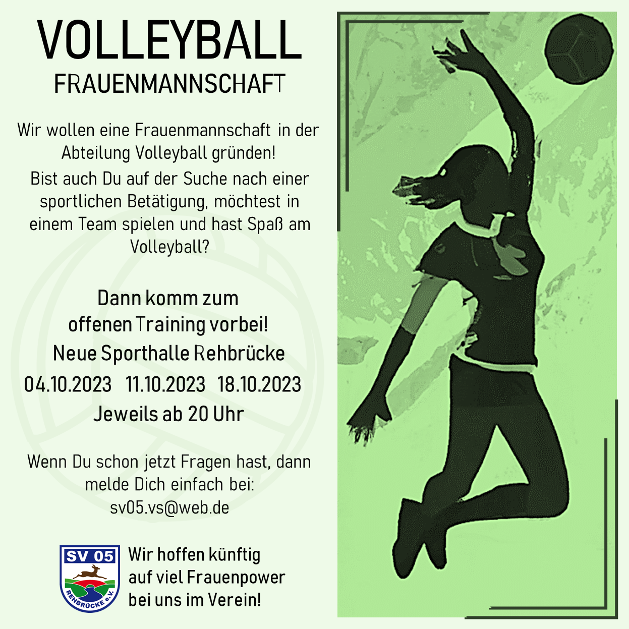 volleyball_frauenmannschaft_v6